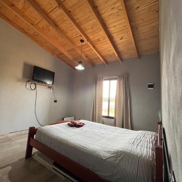 El Cardo - Casa de 2 dormitorios - 2