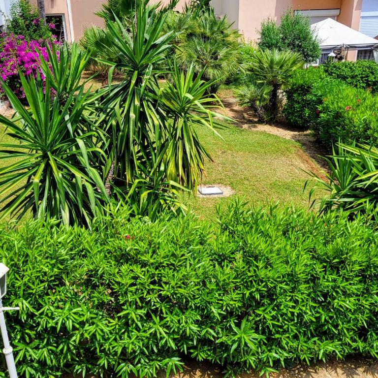 Beau T2 à Golfe-Juan vue piscines parc tropical Résidence du Golf proches plages - Apartment mit 1 Schlafzimmer - 13