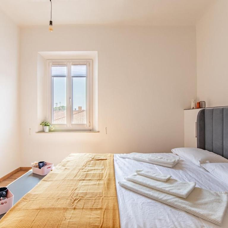 Leaning Tower Cozy 3 Bedroom Holiday Home - Appartamento Premium con 3 Camere da Letto - 35