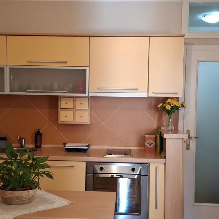 Felicia Apartments - Studio sa Terasom - 4