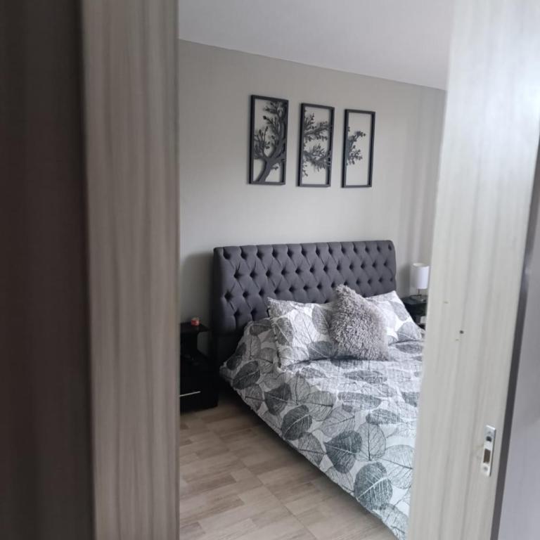 apta estudio 406 norte de armenia - One-Bedroom Apartment - 4