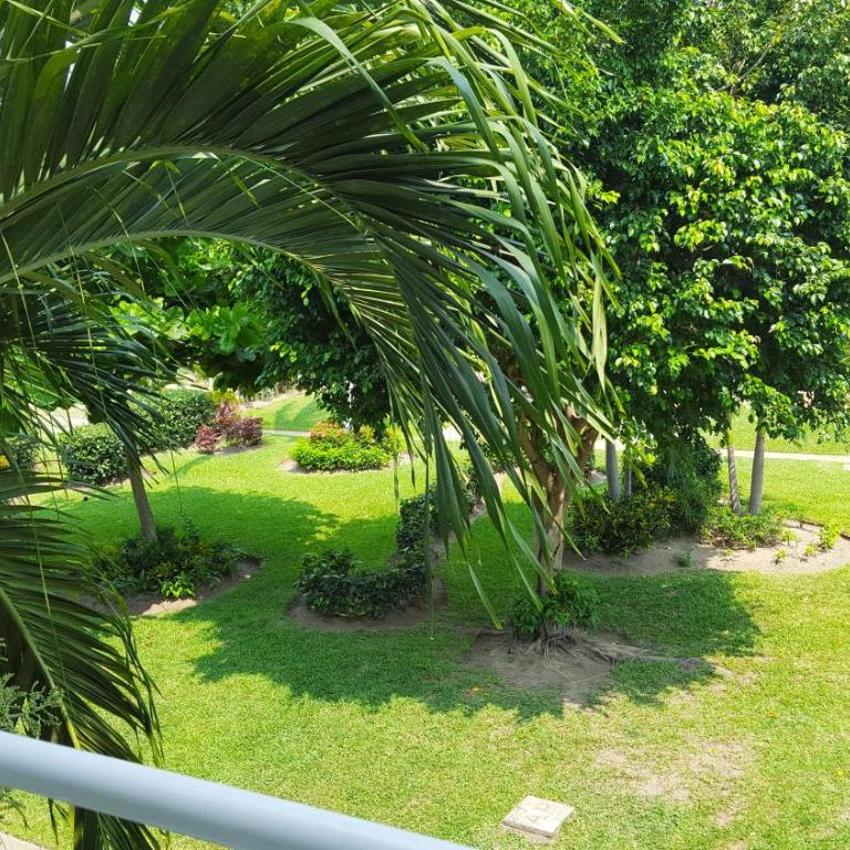 Book House Marina Diamante - Apartamento - 52