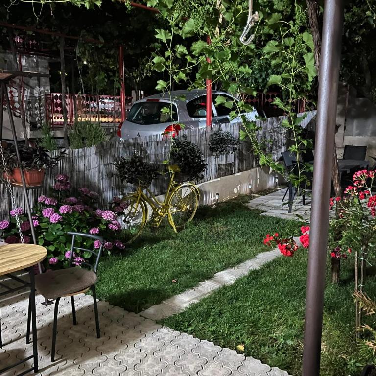 Apartments Ratkovic - Apartman - 9