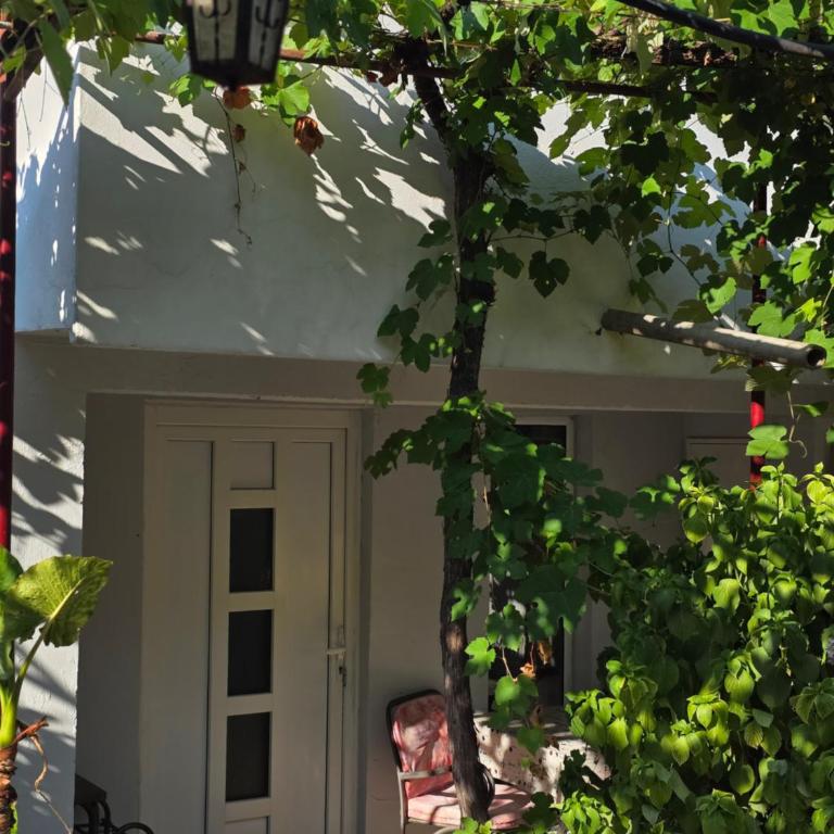 Bozovic Apartments I - Četvorokrevetna Soba sa Pogledom na Vrt - 3