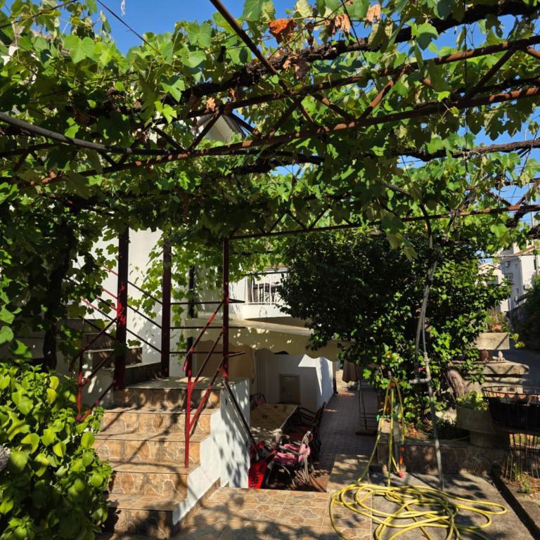 Bozovic Apartments I - Četvorokrevetna Soba sa Pogledom na Vrt - 8