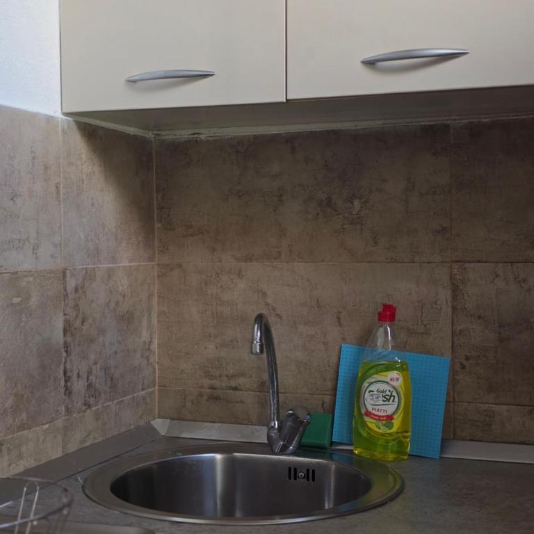 Bozovic Apartments I - Četvorokrevetna Soba sa Pogledom na Vrt - 12