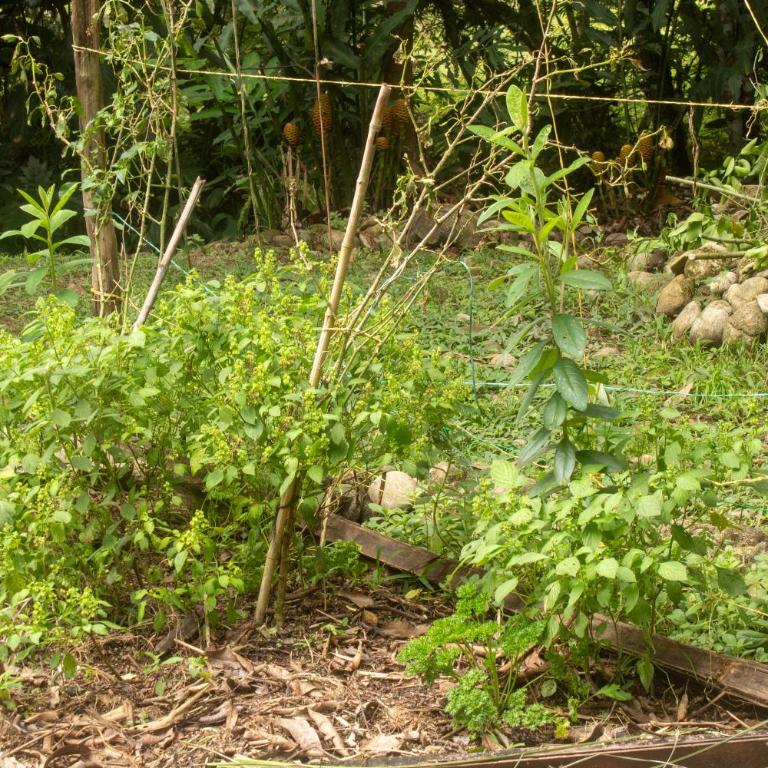 Habitación familiar o para amigos con acceso al rio y mucha naturaleza - Apartamento de 1 dormitorio - 59