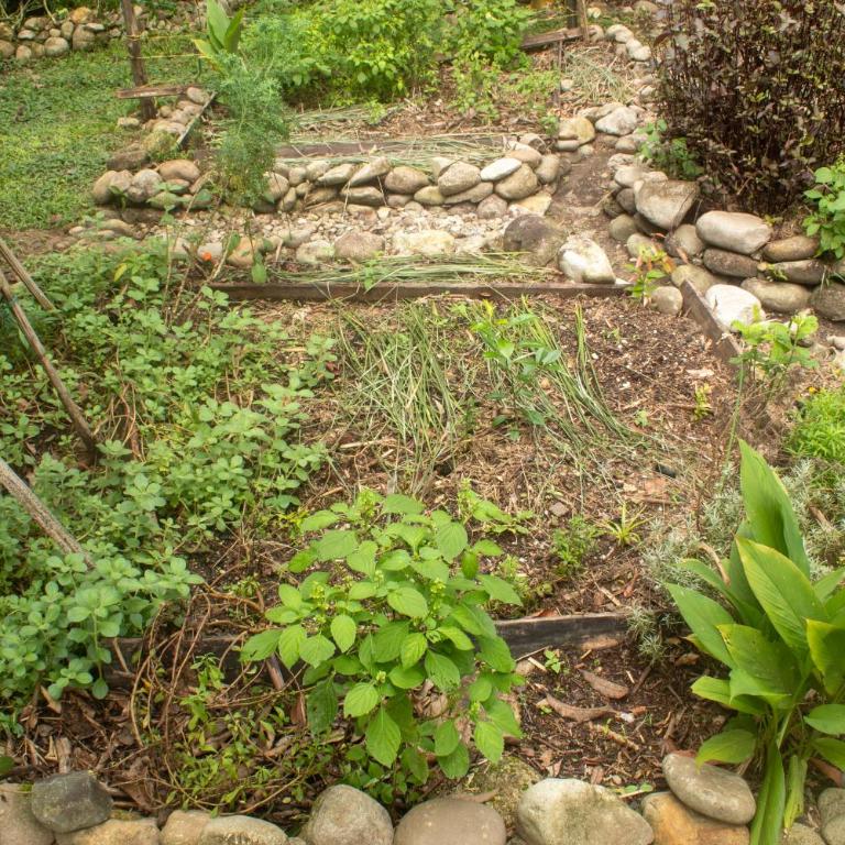 Habitación familiar o para amigos con acceso al rio y mucha naturaleza - Apartamento de 1 dormitorio - 65