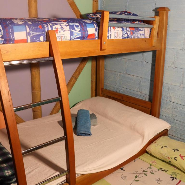 Habitación ideal para familia o amigos a borde de rio y mucha naturaleza - Apartamento de 1 dormitorio - 2