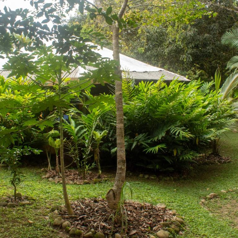 Habitación ideal para familia o amigos a borde de rio y mucha naturaleza - Apartamento de 1 dormitorio - 62