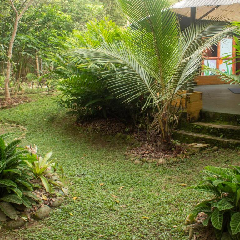 Habitación ideal para familia o amigos a borde de rio y mucha naturaleza - Apartamento de 1 dormitorio - 63