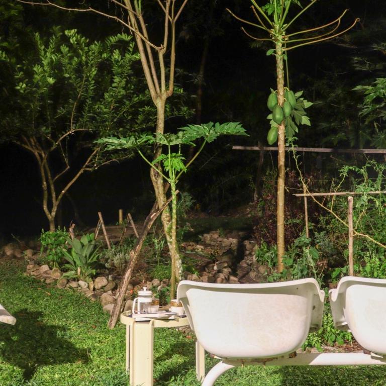 Habitación ideal para familia o amigos a borde de rio y mucha naturaleza - Apartamento de 1 dormitorio - 65