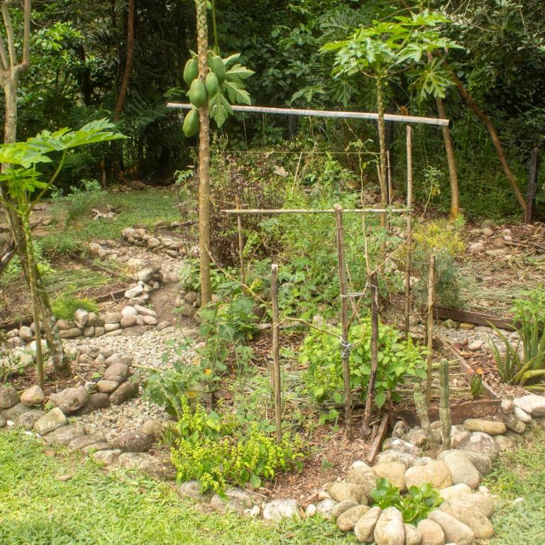 Habitación ideal para familia o amigos a borde de rio y mucha naturaleza - Apartamento de 1 dormitorio - 75