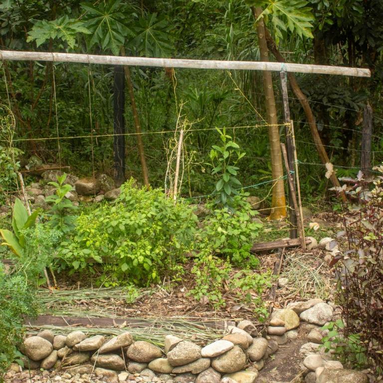 Habitación ideal para familia o amigos a borde de rio y mucha naturaleza - Apartamento de 1 dormitorio - 76