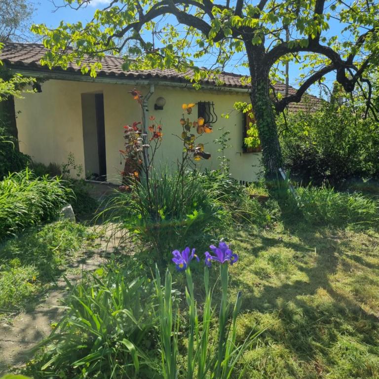 Le Jas - Maison 1 Chambre - 9