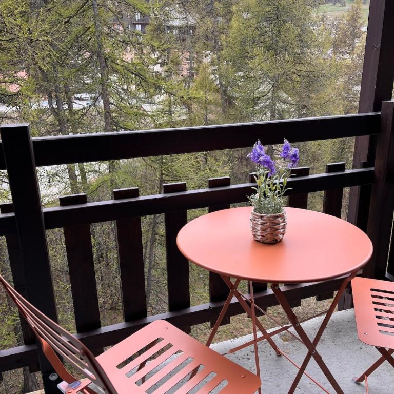 Vue montagne, proche remontées mécaniques et commodités, Risoul - Appartement 1 Chambre - 1