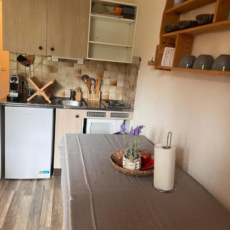 Vue montagne, proche remontées mécaniques et commodités, Risoul - Appartement 1 Chambre - 4