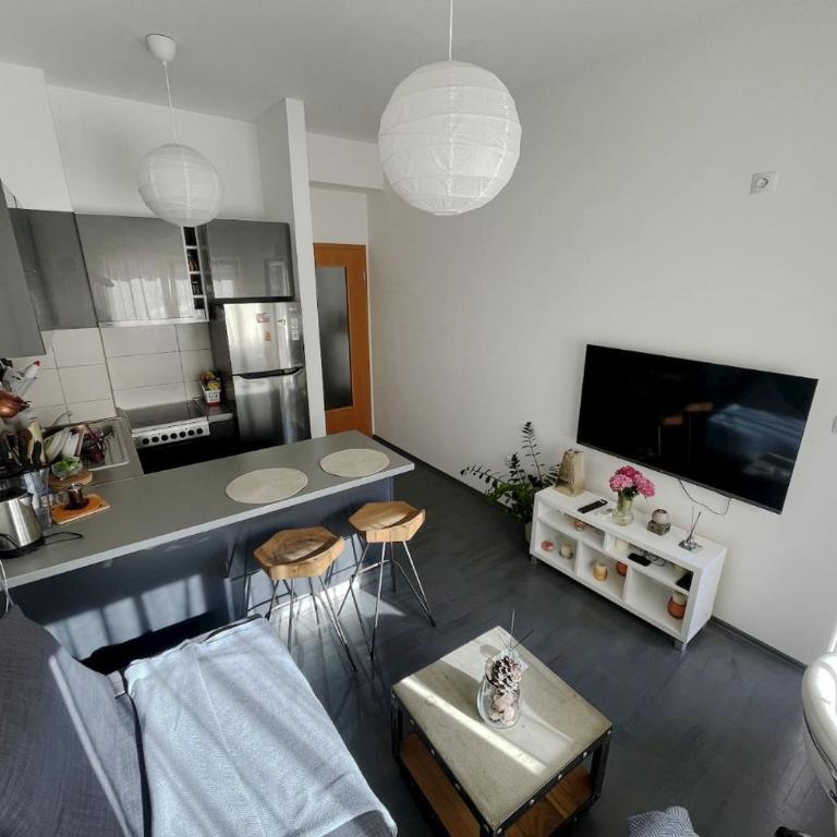 PriSMi Rozino - Appartement 1 Chambre - 3