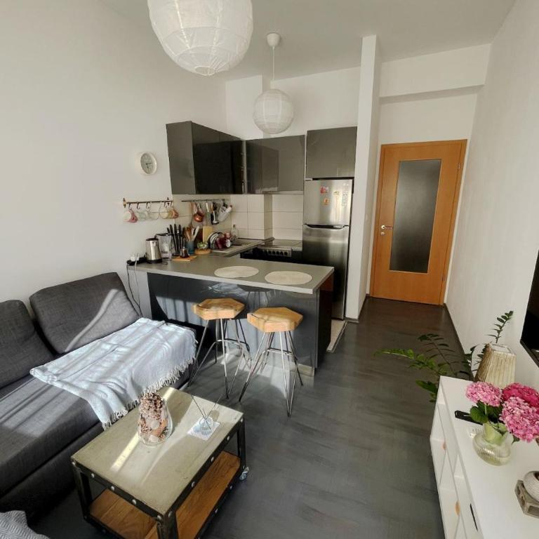 PriSMi Rozino - Appartement 1 Chambre - 2