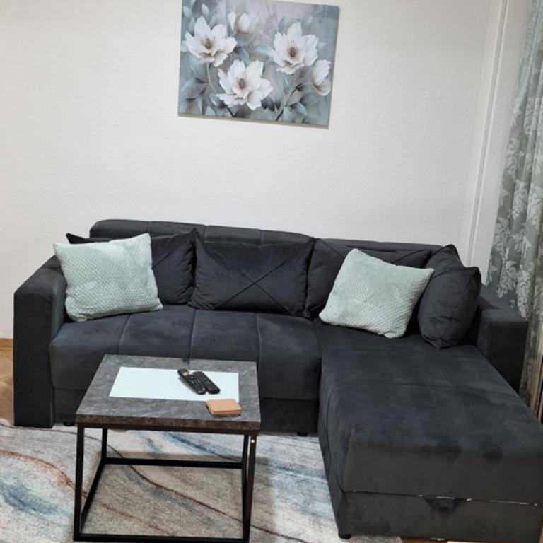 Apricus Mini Apartman Vrnjacka banja - Apartman sa 1 Spavaćom Sobom - 2