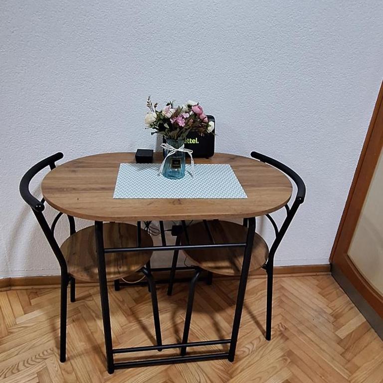 Apricus Mini Apartman Vrnjacka banja - Apartman sa 1 Spavaćom Sobom - 3