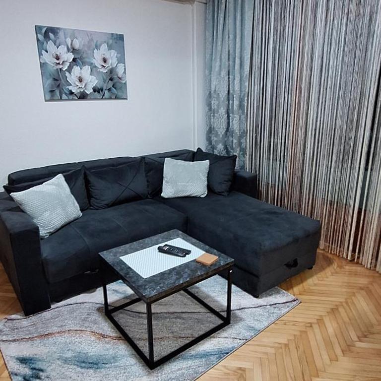 Apricus Mini Apartman Vrnjacka banja - Apartman sa 1 Spavaćom Sobom - 4