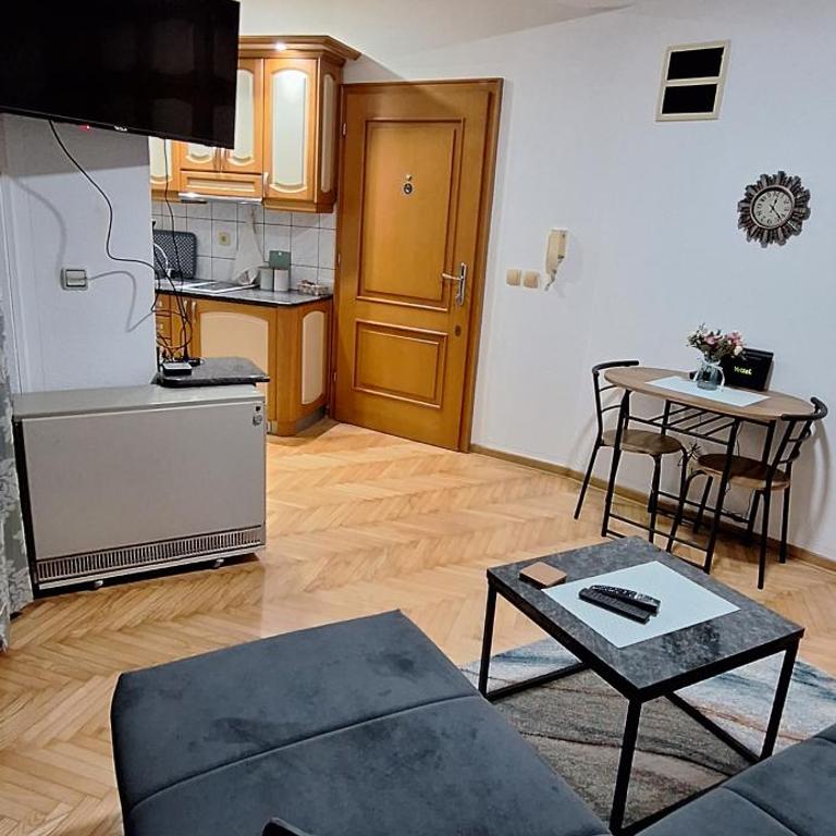 Apricus Mini Apartman Vrnjacka banja - Apartman sa 1 Spavaćom Sobom - 9