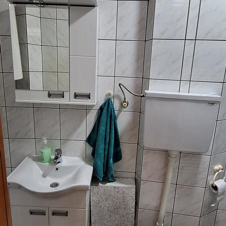 Apricus Mini Apartman Vrnjacka banja - Apartman sa 1 Spavaćom Sobom - 10