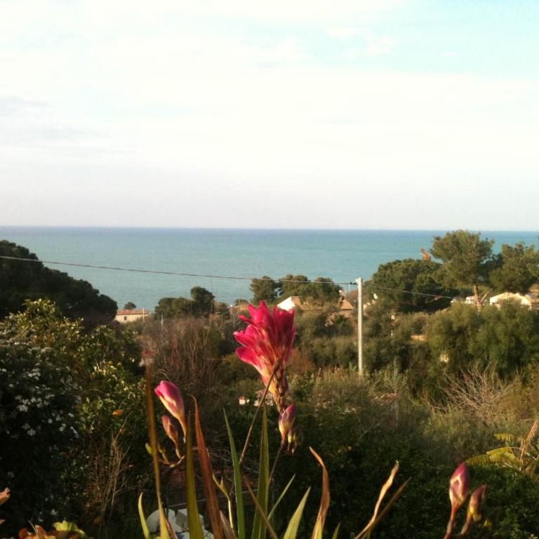 Apart in villa Sea view Sand beach - Appartamento con 2 Camere da Letto - 31