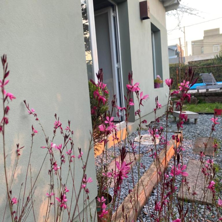 Los Tilos - Casa - 1