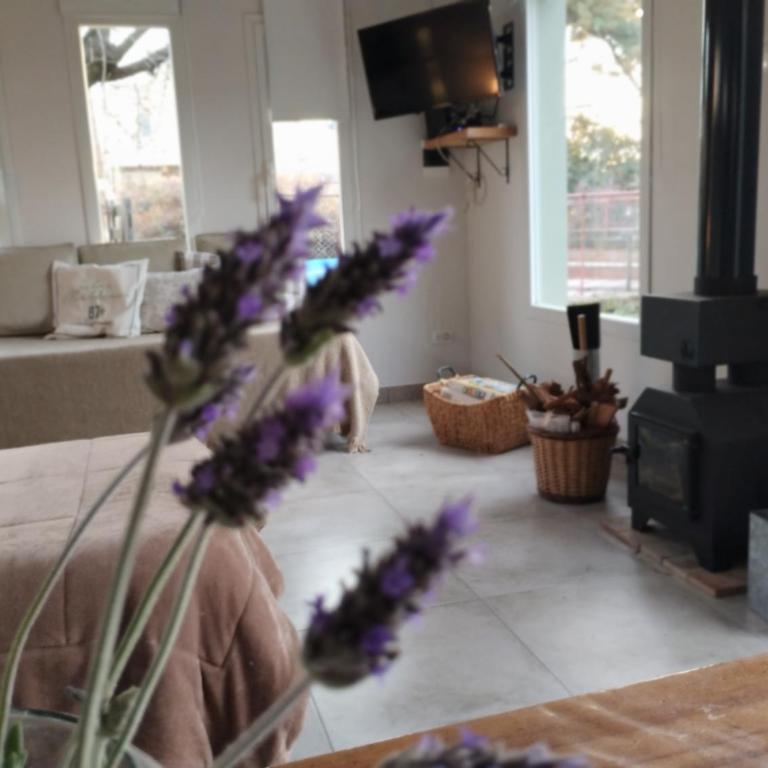 Los Tilos - Casa - 4