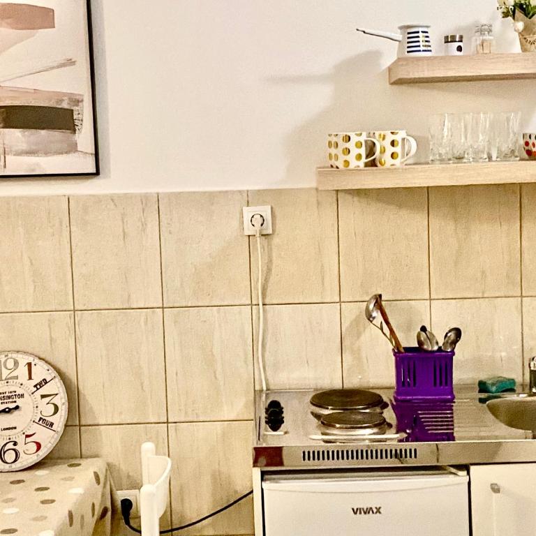 Apartmani Ilić - Standard Apartment - 2