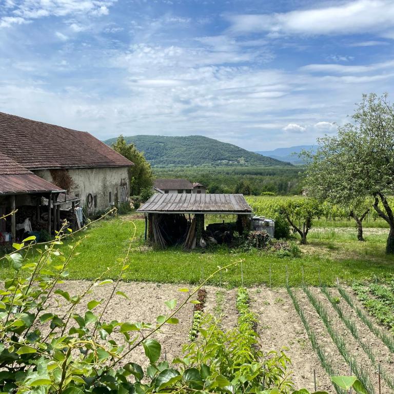 Cocon avec spa et vue imprenable - Studio - Vue sur Montagne - 9