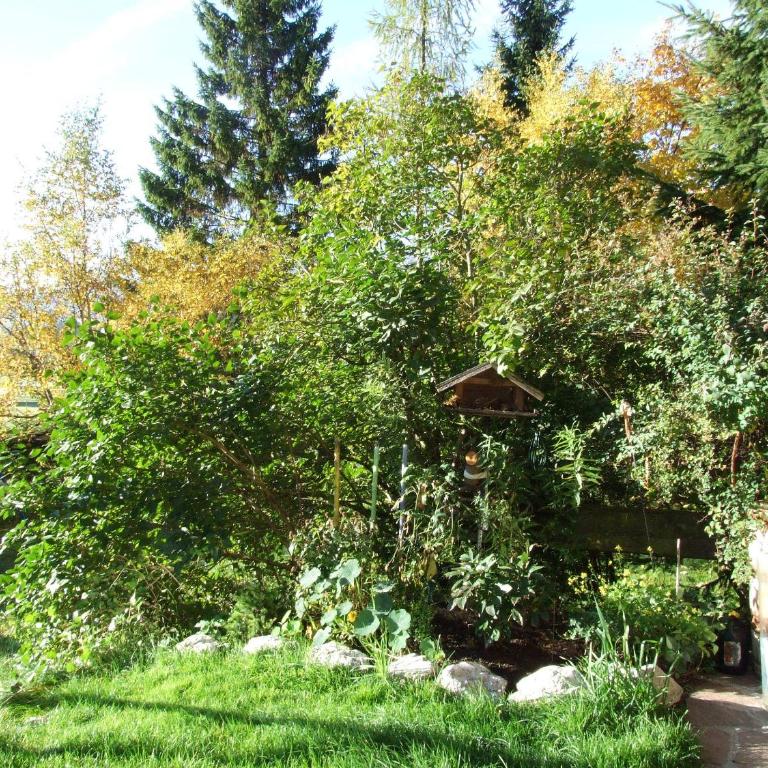 Hotel Menthof - Doppelzimmer - 5