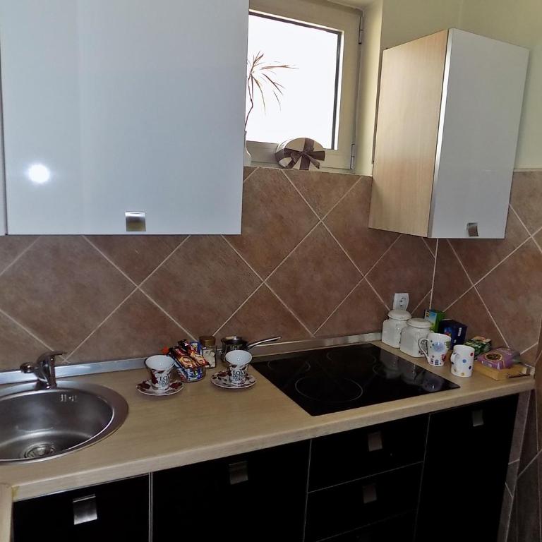 Apartment Kragujevac - Apartment with Balcony - 43