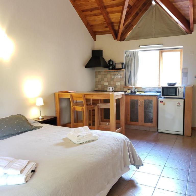 Monoambiente con pileta y Cochera en SM De Los Andes - Estudio con cama extragrande - 13