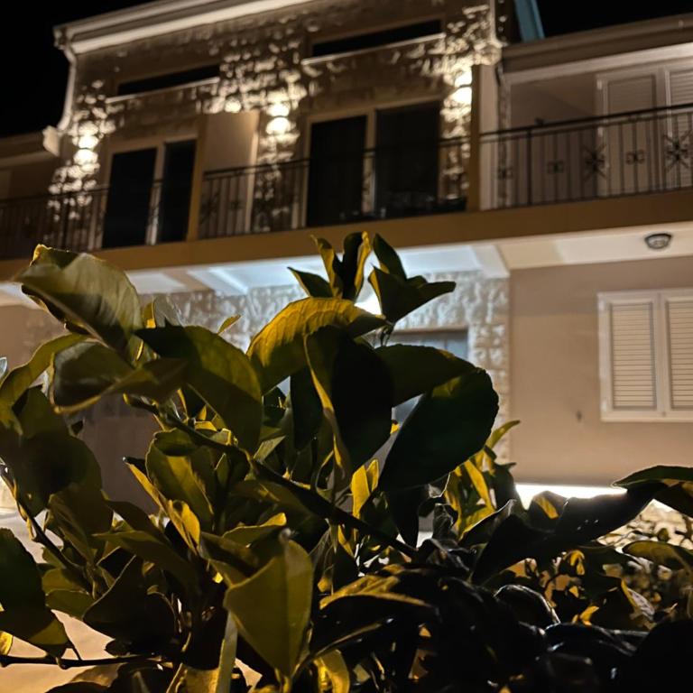 Appartement en Chêne - Apartman sa 1 Spavaćom Sobom - 29