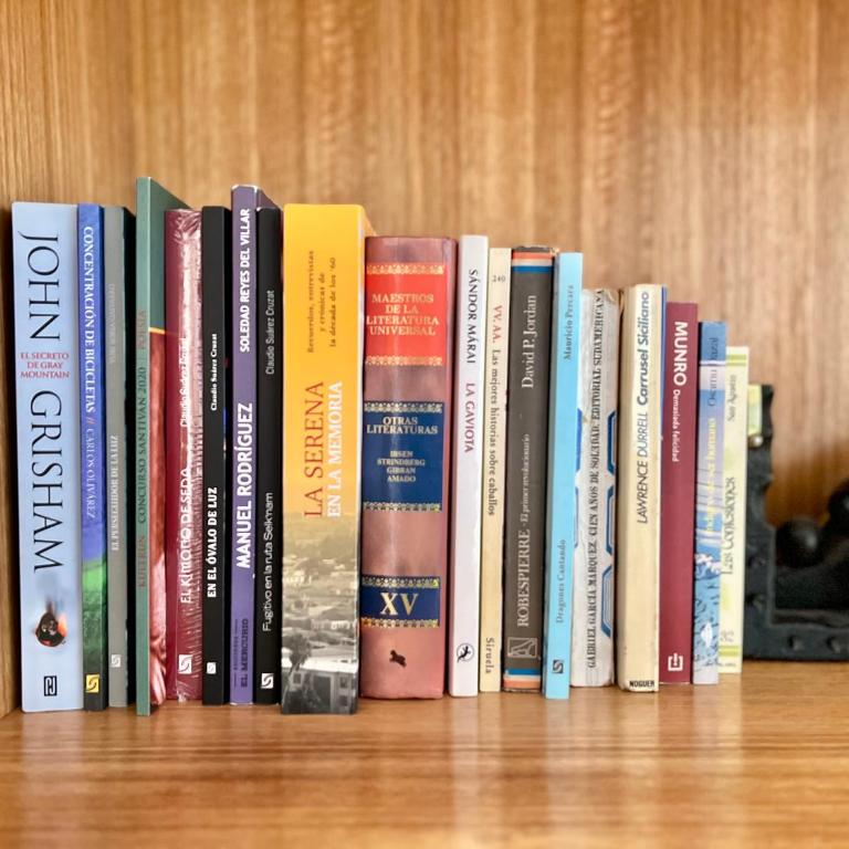 Frutillar borde lago - Apartamento de 1 dormitorio - 26