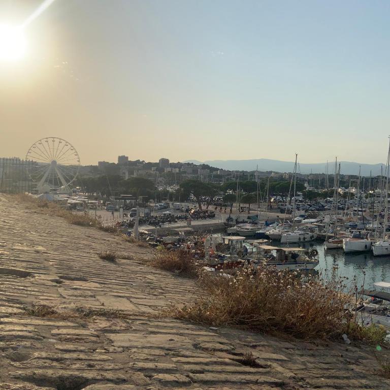 Séjour face au Vieil Antibes avec parking - Mobilheim - 9