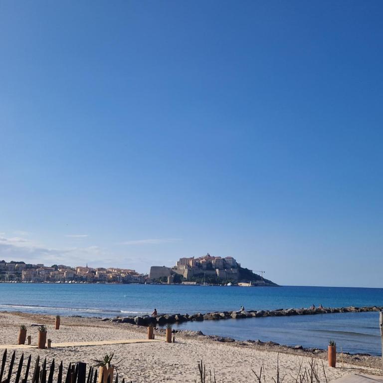 T2 Terrasse Vue Mer Centre Calvi - Appartement 1 Chambre - 15