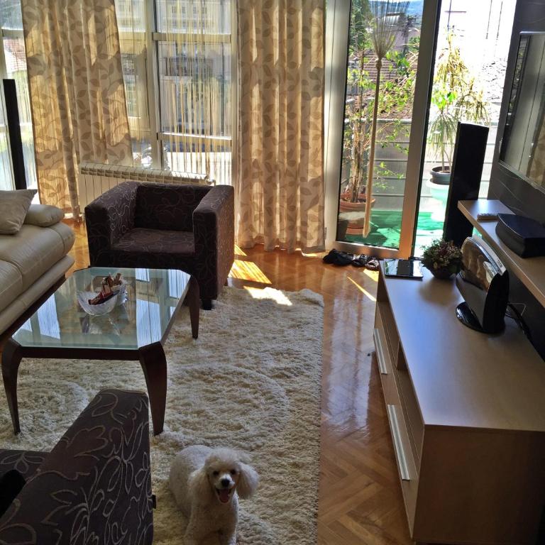 Apartment Kragujevac - Apartment with Balcony - 7