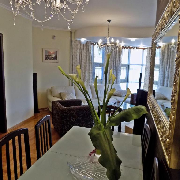 Apartment Kragujevac - Apartment with Balcony - 13