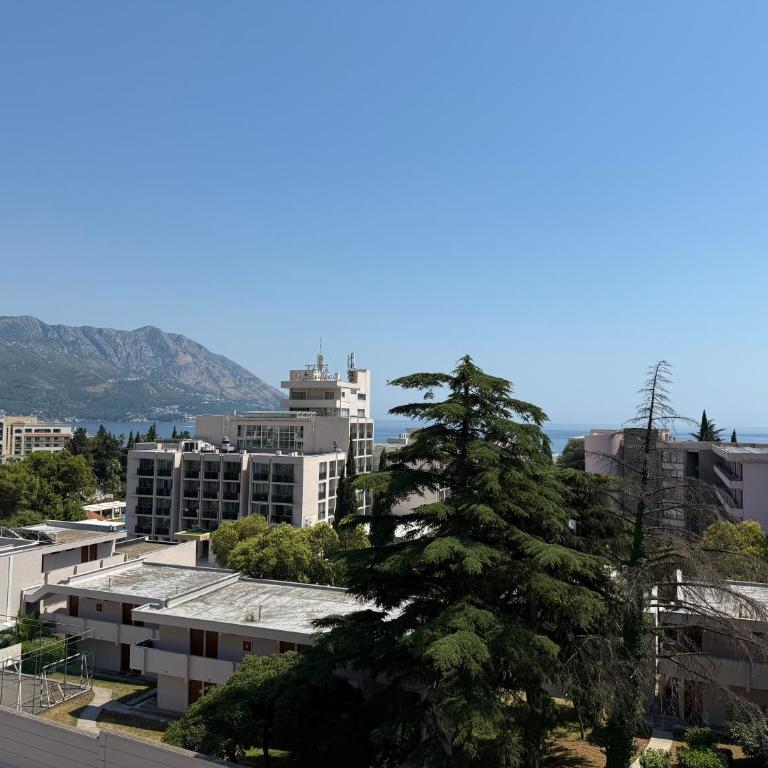 Bečići Sea View Apartment - Apartman sa 1 Spavaćom Sobom - 10