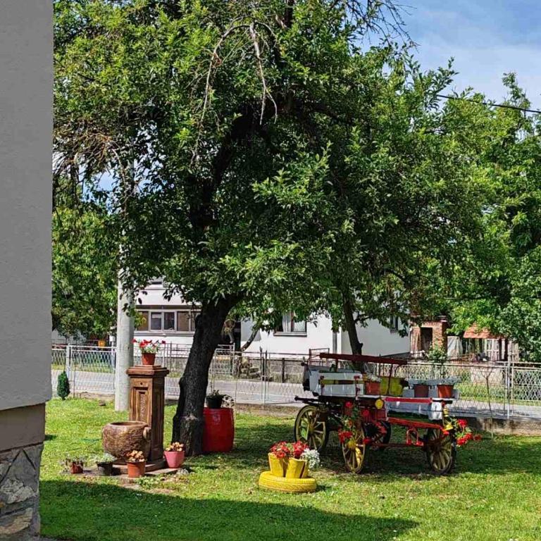 Hacijenda Milosavljević - Kuća sa 2 Spavaće Sobe - 3