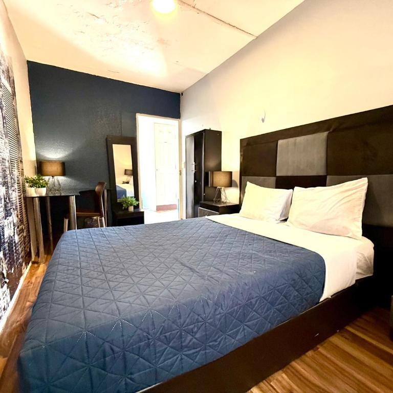 Roomies Hostel - Condesa - Standard Double Room with Shared Bathroom - 5