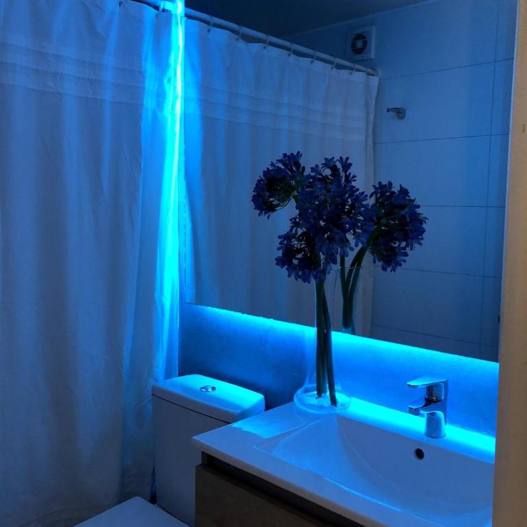 Departamento de lujo con estacionamiento privado - Apartamento de 1 dormitorio - 13