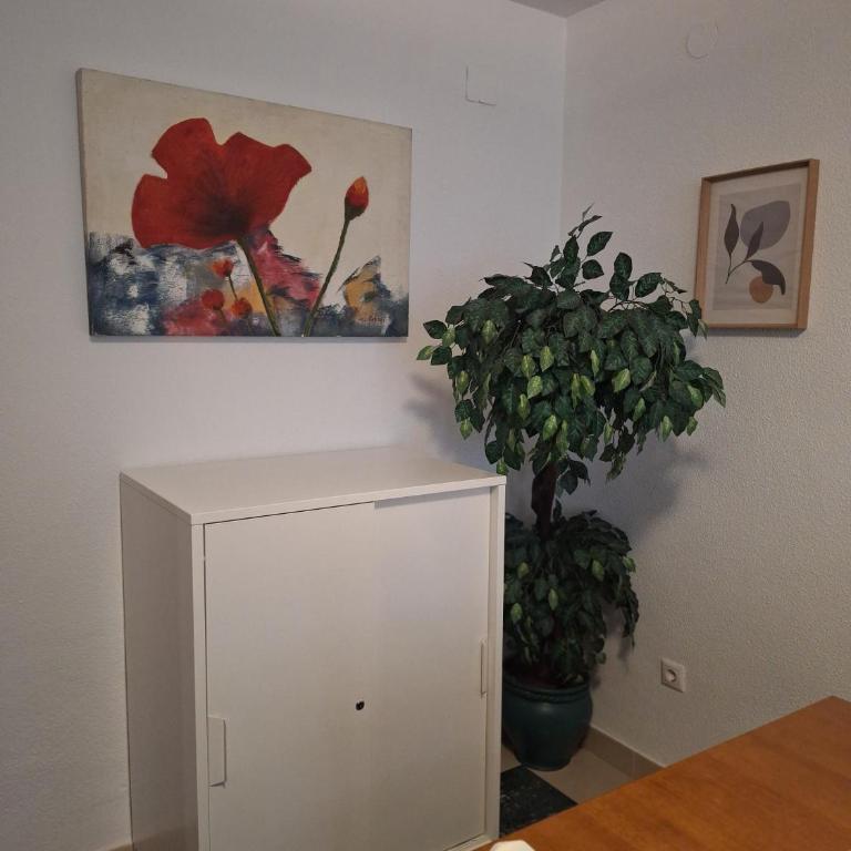 Apartamento Tessa - Apartamento - 9