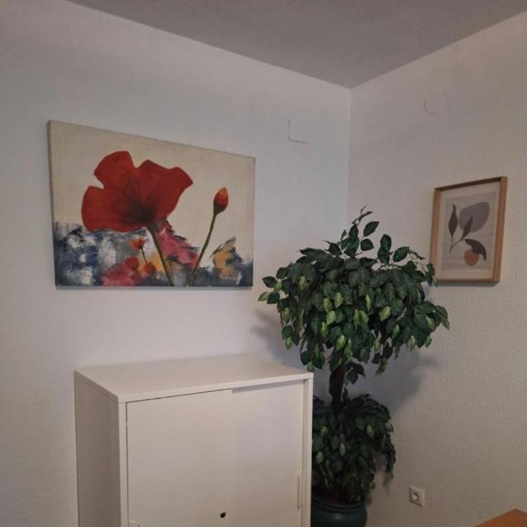 Apartamento Tessa - Apartamento - 3
