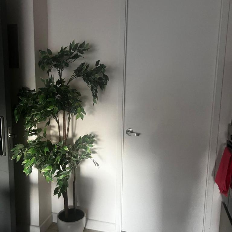 Comodos departamentos en Edificio San Pablo - Studio Apartment - 16