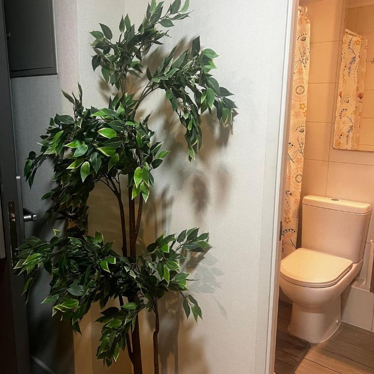 Comodos departamentos en Edificio San Pablo - Studio Apartment - 15